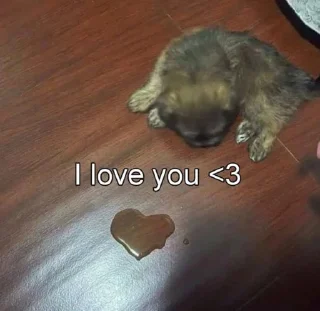 ❤️