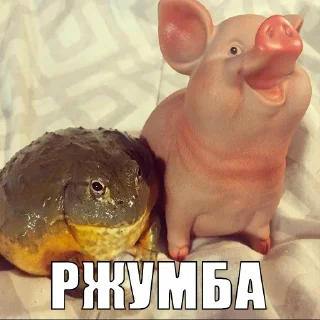 😂