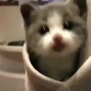 💗