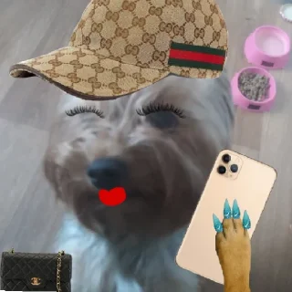🤩
