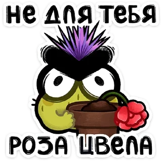 ⭐