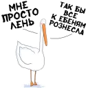😅