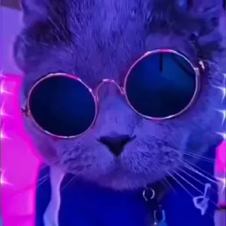 🤩
