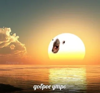 ☀