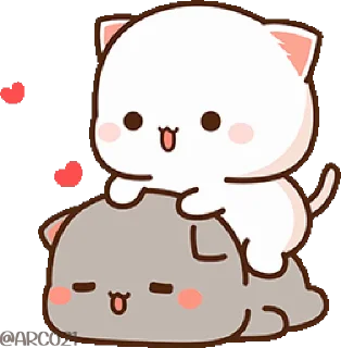 😻