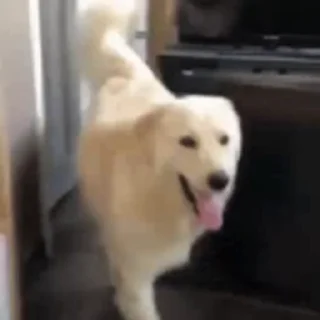 😕