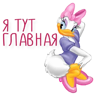 😎