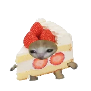 🍰