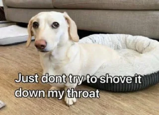 🙄