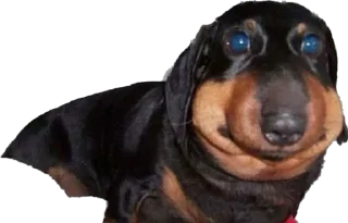 🫤