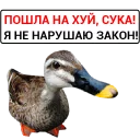 🦆