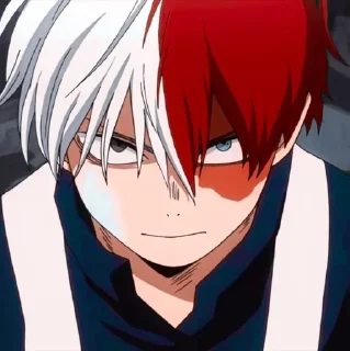 •°Shouto Todoroki°• @anime_sticks
