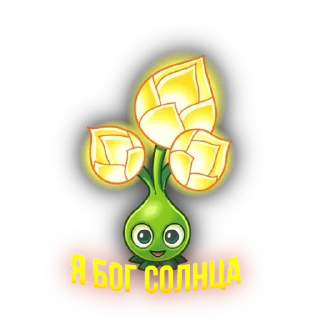 🌟