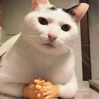 🤔