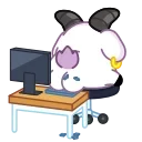 👨‍💻