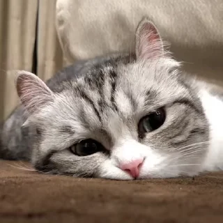 🙁