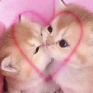❤️
