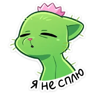 😴