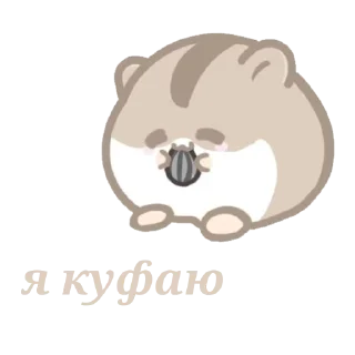 🍽