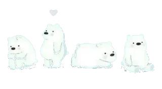🐻