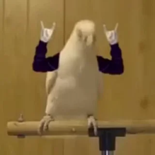 😎