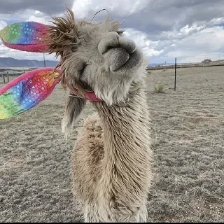 🤪