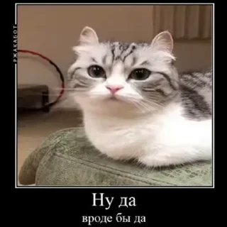 🤥