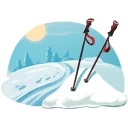 🎿