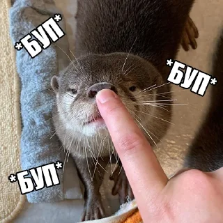 🫵