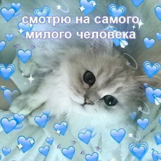 💙