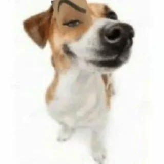 😏