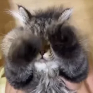 😆