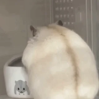 😶