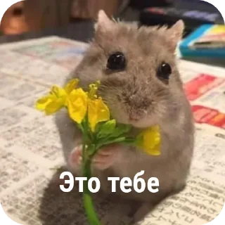❤