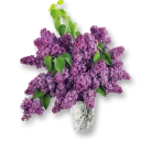 💐