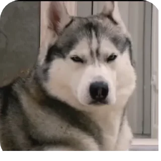 👍