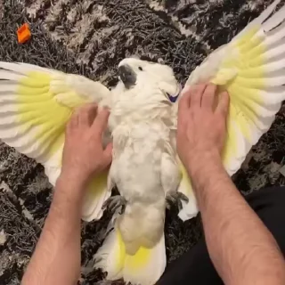 ☺️