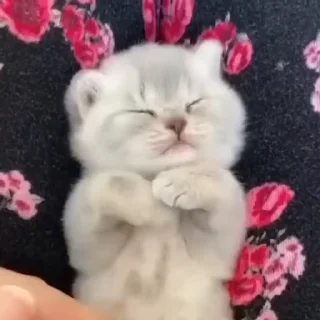🙄
