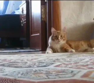 👋