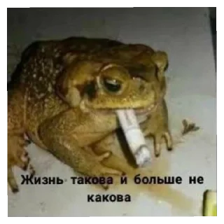 ☝️