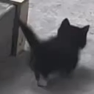 🥹