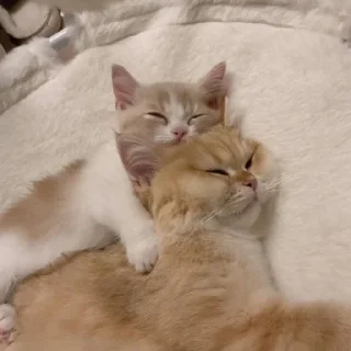 🤗