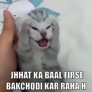 😂