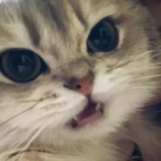 😒