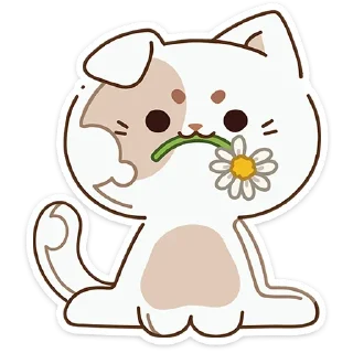 🌻