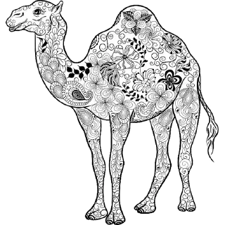 🐪