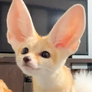 ❓