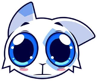 🐱
