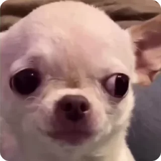 😊