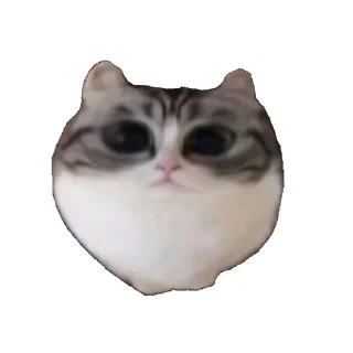 👽